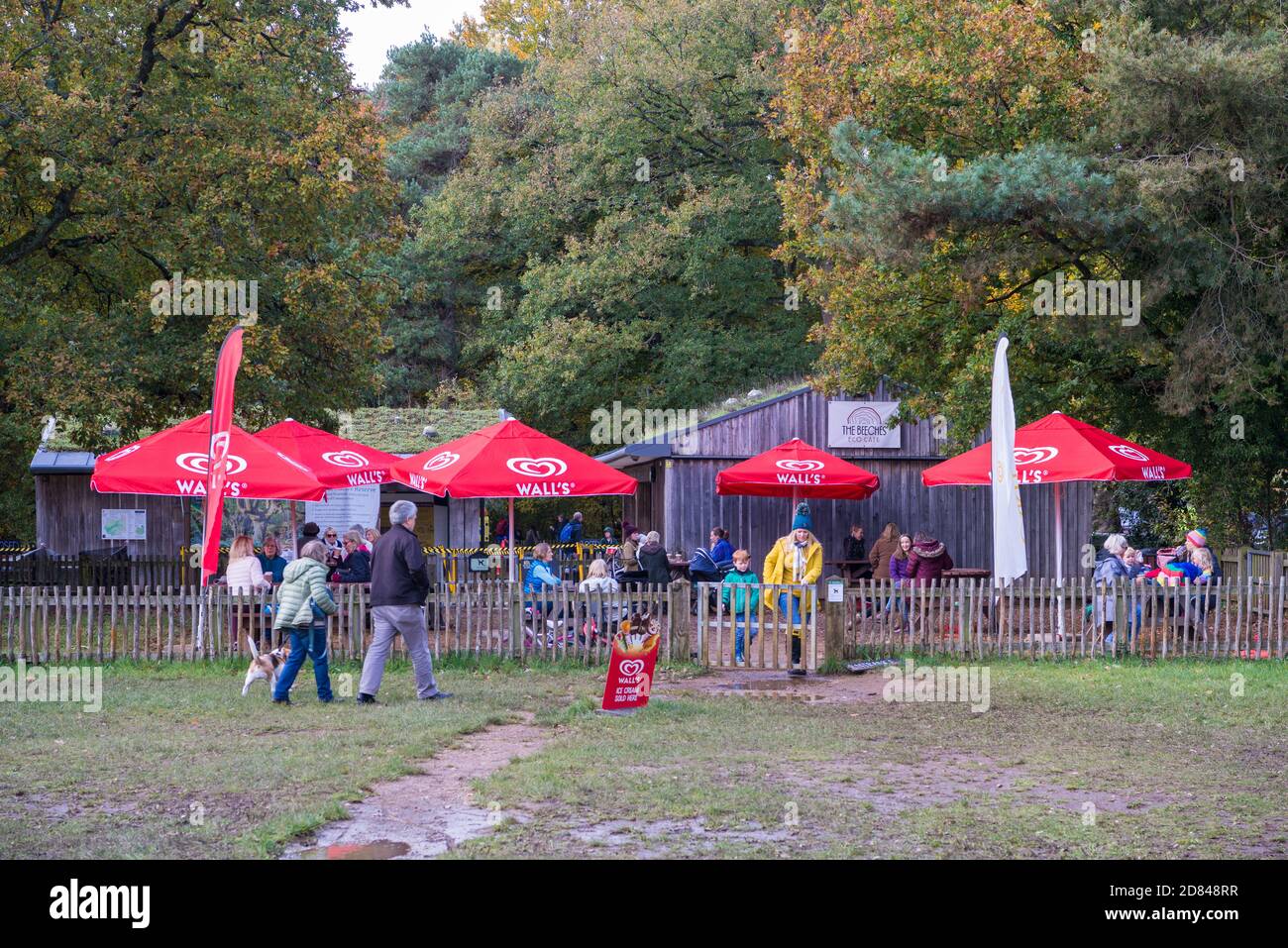 La gente fuori e circa alla riserva naturale di Burnham Beeches prenda i rinfreschi al caffè Eco di Beeches, Burnham, Slough, Berkshire, Inghilterra, Regno Unito Foto Stock