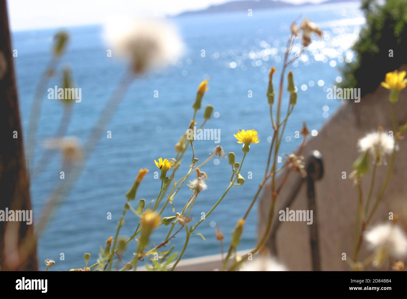 Breeze estivo a Marsiglia Foto Stock