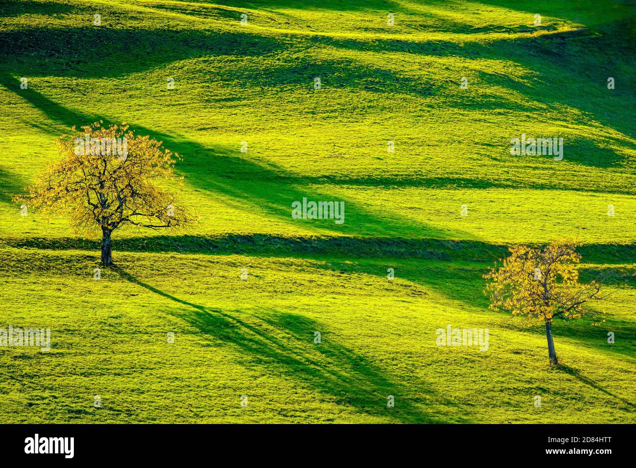 Splendido paesaggio autunnale colorato nelle montagne del Giura, Canton Giura, Svizzera. Foto Stock