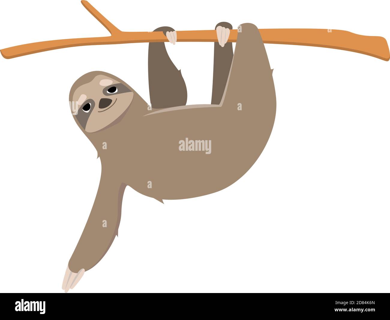 Sloth appeso sul ramo. Animale pigro in stile cartone animato isolato su sfondo bianco. Illustrazione Vettoriale