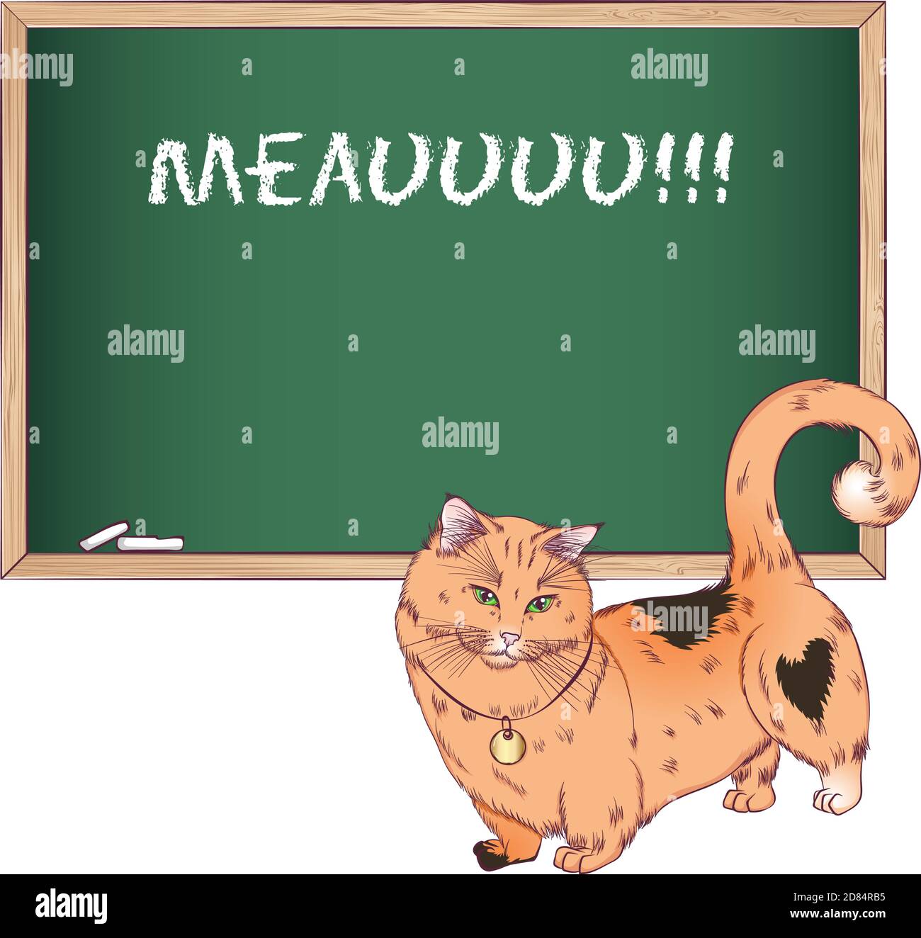 Razza gatto Munchkin guardando verso il basso. Illustrazione vettoriale con un gatto vicino alla tavola di gesso. Stile disegnato a mano isolato su sfondo bianco. Posiziona per il testo. Illustrazione Vettoriale