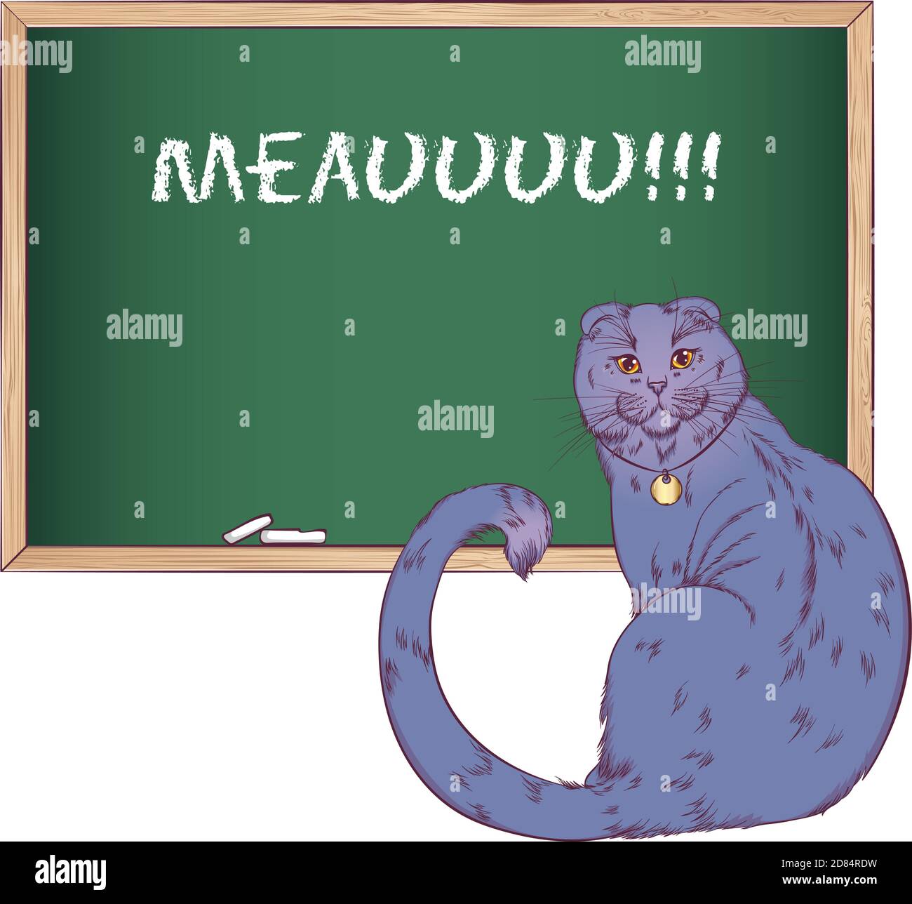 Scottish fold Cat seduta indietro con il volto girato alla figura spettatore.Vector con un gatto vicino alla tavola di gesso. Stile disegnato a mano isolato su sfondo bianco. Posiziona per il testo. Illustrazione Vettoriale