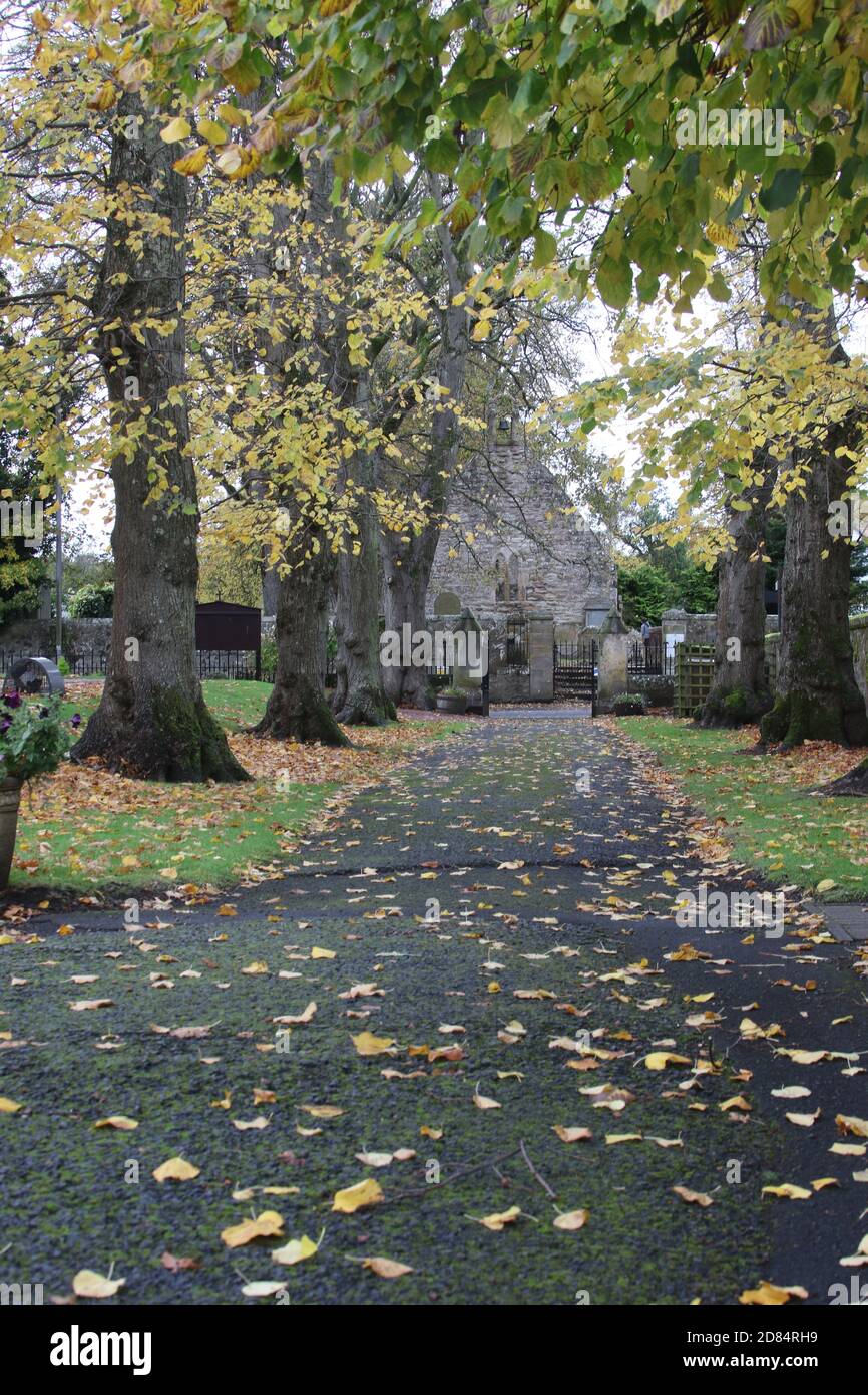 Alloway Auld Kirk, Ayrshire, Scozia, risale al 16 ° secolo, ha ispirato Robert Burns a scrivere la poesia tale di Tam o Shanter Foto Stock
