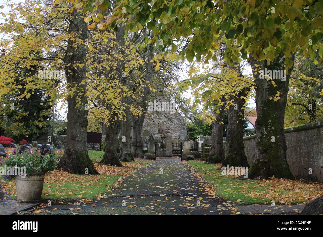Alloway Auld Kirk, Ayrshire, Scozia, risale al 16 ° secolo, ha ispirato Robert Burns a scrivere la poesia tale di Tam o Shanter Foto Stock
