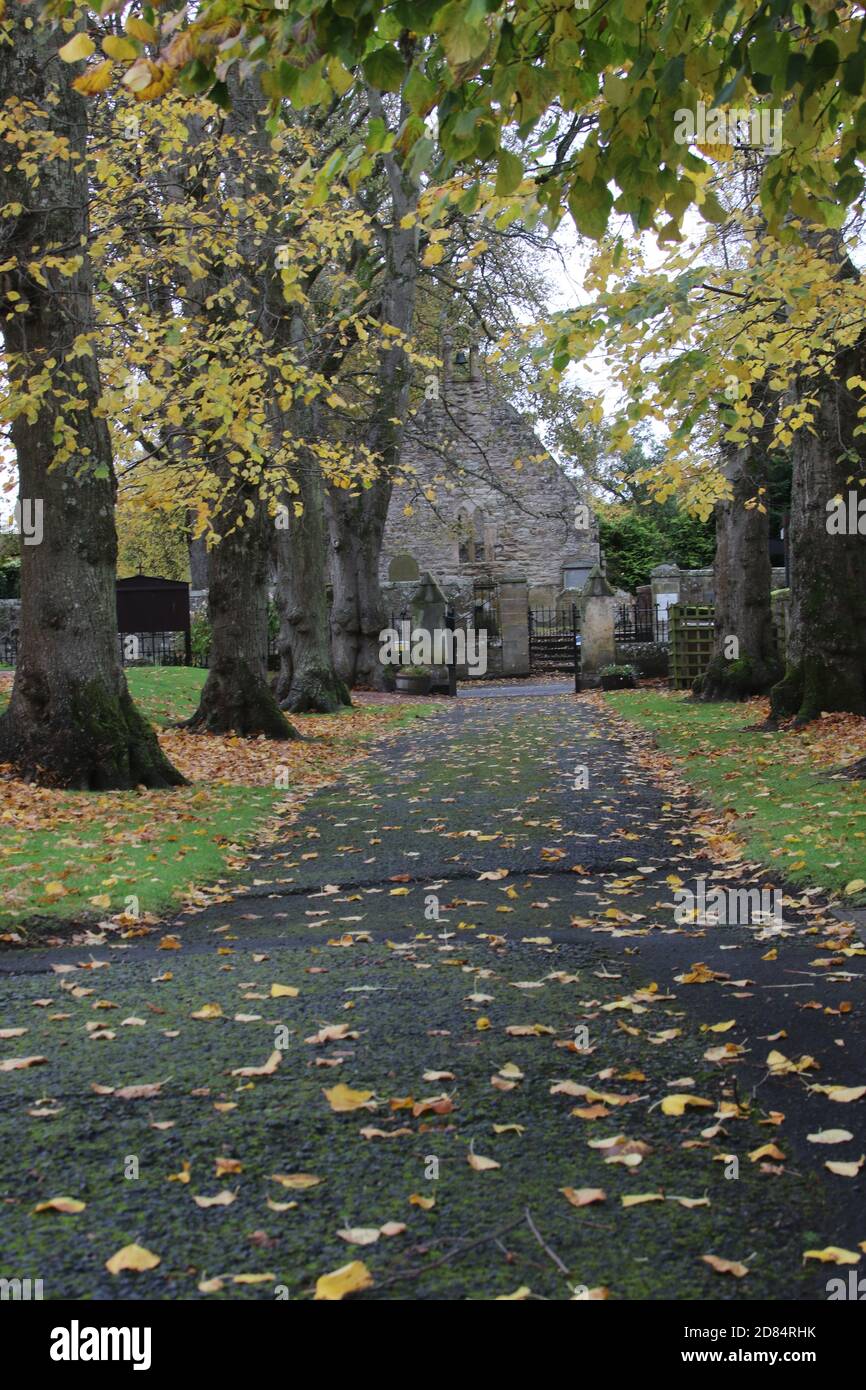 Alloway Auld Kirk, Ayrshire, Scozia, risale al 16 ° secolo, ha ispirato Robert Burns a scrivere la poesia tale di Tam o Shanter Foto Stock