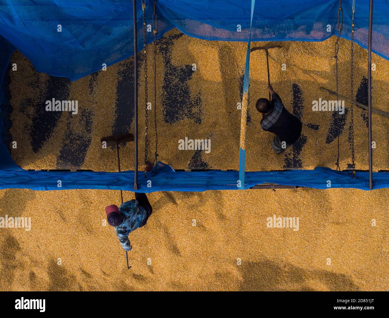 Mudanjiang. 27 Ott 2020. La foto aerea del 27 ottobre 2020 mostra i contadini che asciugano i corni nella città di Ning'an, nella provincia di Heilongjiang nella Cina nord-orientale. La vendemmia autunnale a Ning'an ha per lo più finito, mentre le aziende di trasformazione alimentare si sono arenate. Credit: Zhang Tao/Xinhua/Alamy Live News Foto Stock