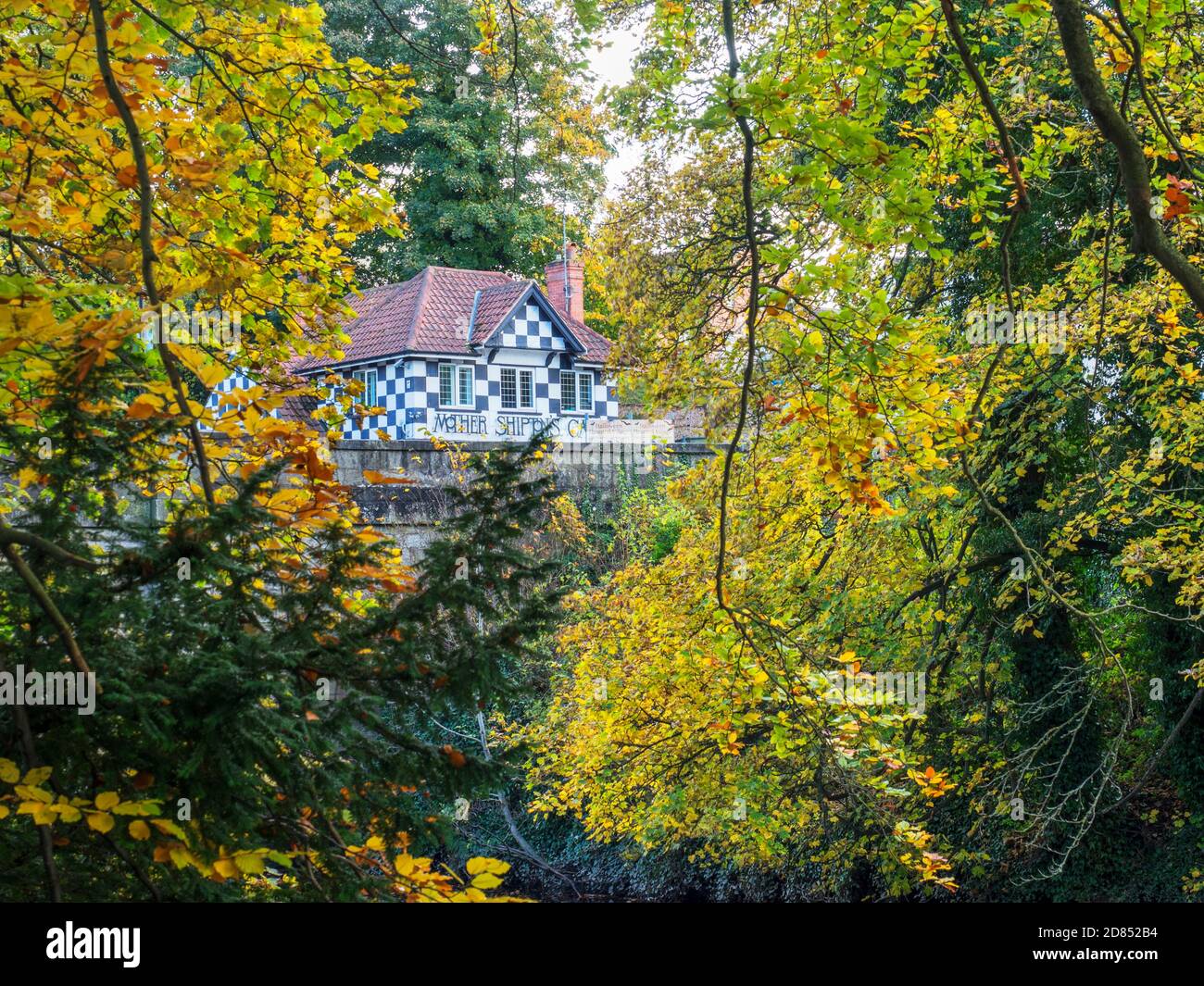 Guardando attraverso gli alberi autunnali sul fiume Nidd ad alta Ponte e l'ingresso alla grotta Mother Shiptons a Knaresborough North Yorkshire Inghilterra Foto Stock