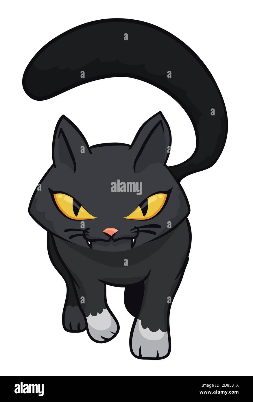 Gatto nero isolato con la coda furry, malvagio e feroce guardare a piedi a voi, su sfondo bianco. Illustrazione Vettoriale