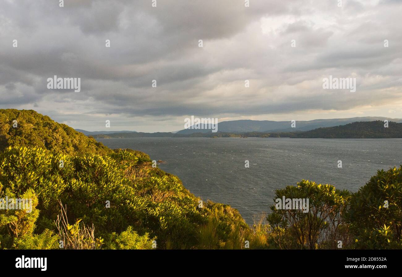 Ulva Island, al largo di Stewart Island/Rakiura, Nuova Zelanda Foto Stock