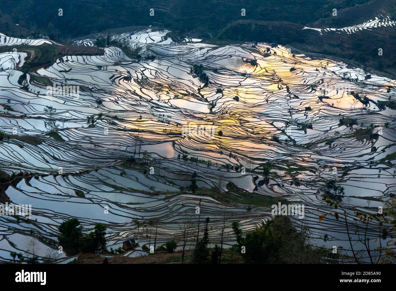 Yuan Yang Rice Terrace in Cina, la più grande terrazza di riso del mondo, patrimonio mondiale dell'umanità è nella provincia di Yunnan Foto Stock