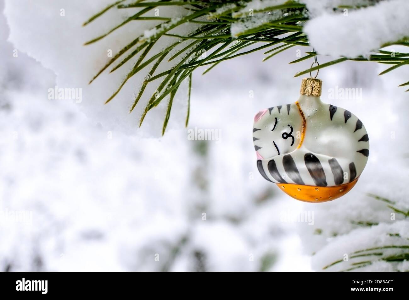 Sfondo di Natale con un giocattolo dell'albero di Natale di un gatto dormiente su un ramo di pino innevato in una foresta invernale con uno spazio di copia. Vacanze di nuovo anno, Foto Stock