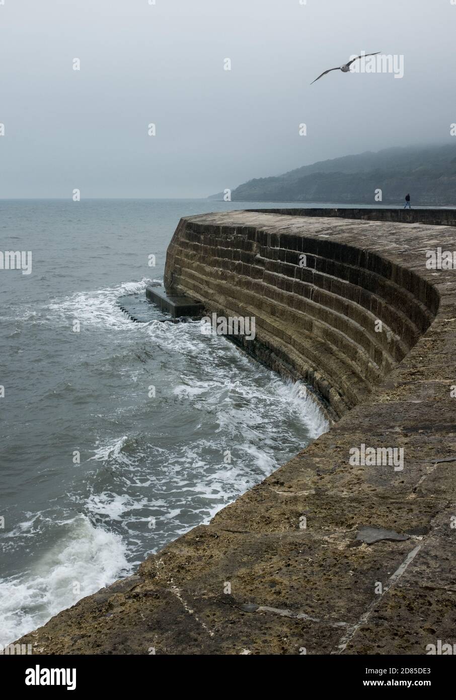 Cobb porto parete di difesa a Lyme Regis Bay durante un giorno tempestoso inverno nebby. Jurassic Coast, Dorset, Inghilterra, Regno Unito Foto Stock