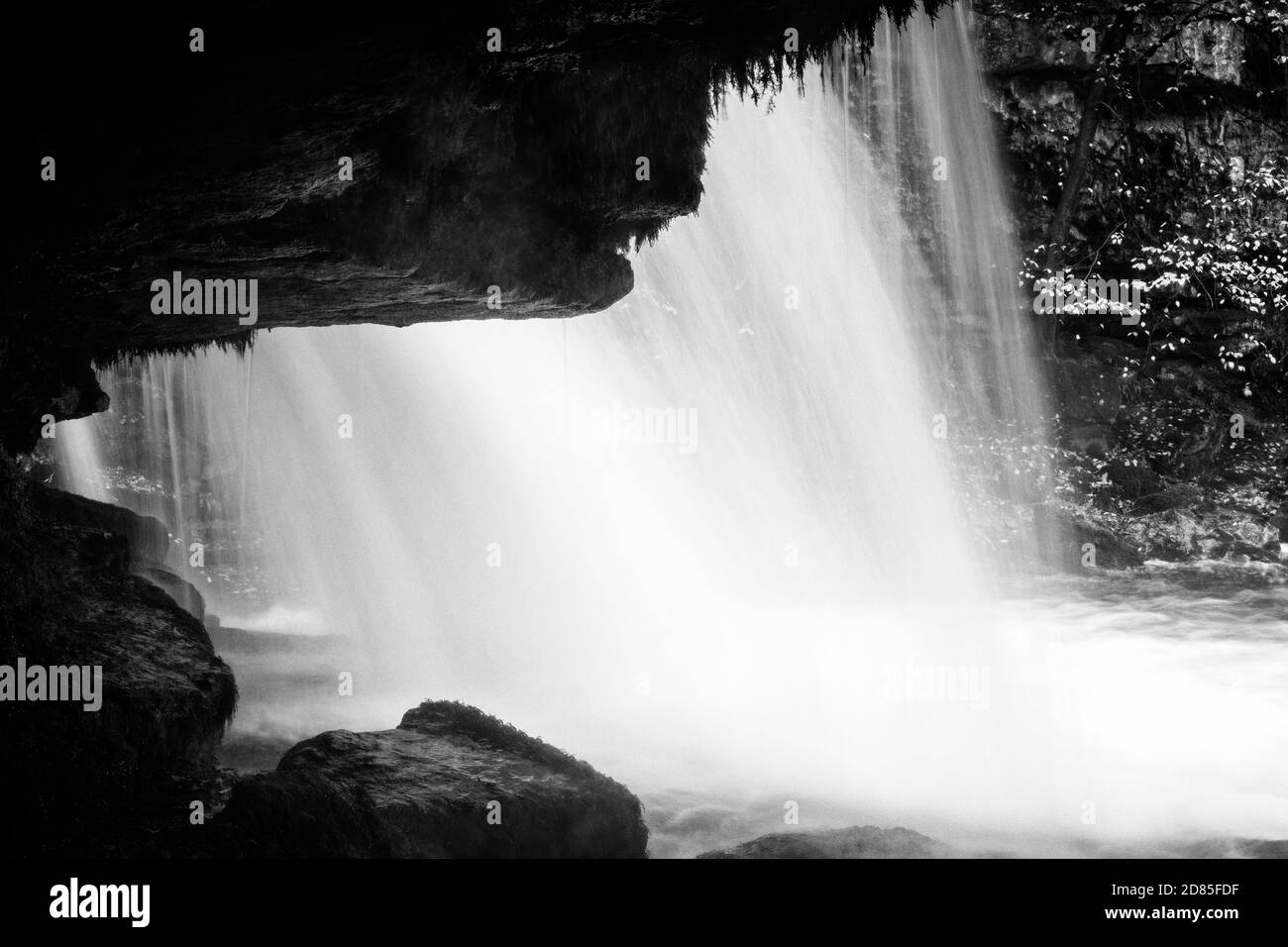 Il flusso d'acqua in Walden Beck in SPATE, Cauldron Falls, West Burton, Yorkshire Dales, Regno Unito Foto Stock