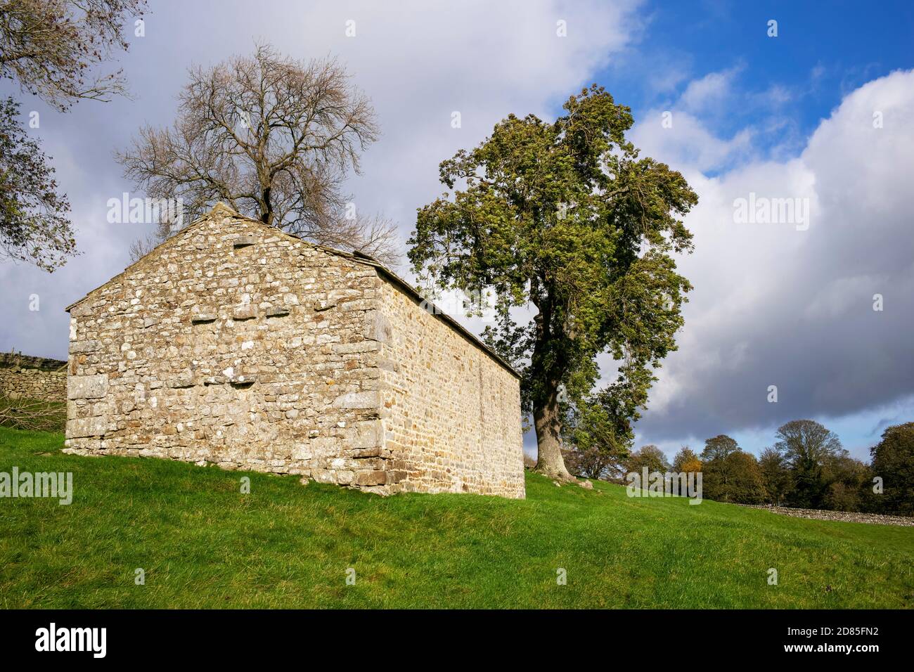 Un fienile di pietra tradizionale, sul pascolo, a Bishopdale, Yorkshire Dales, Regno Unito Foto Stock