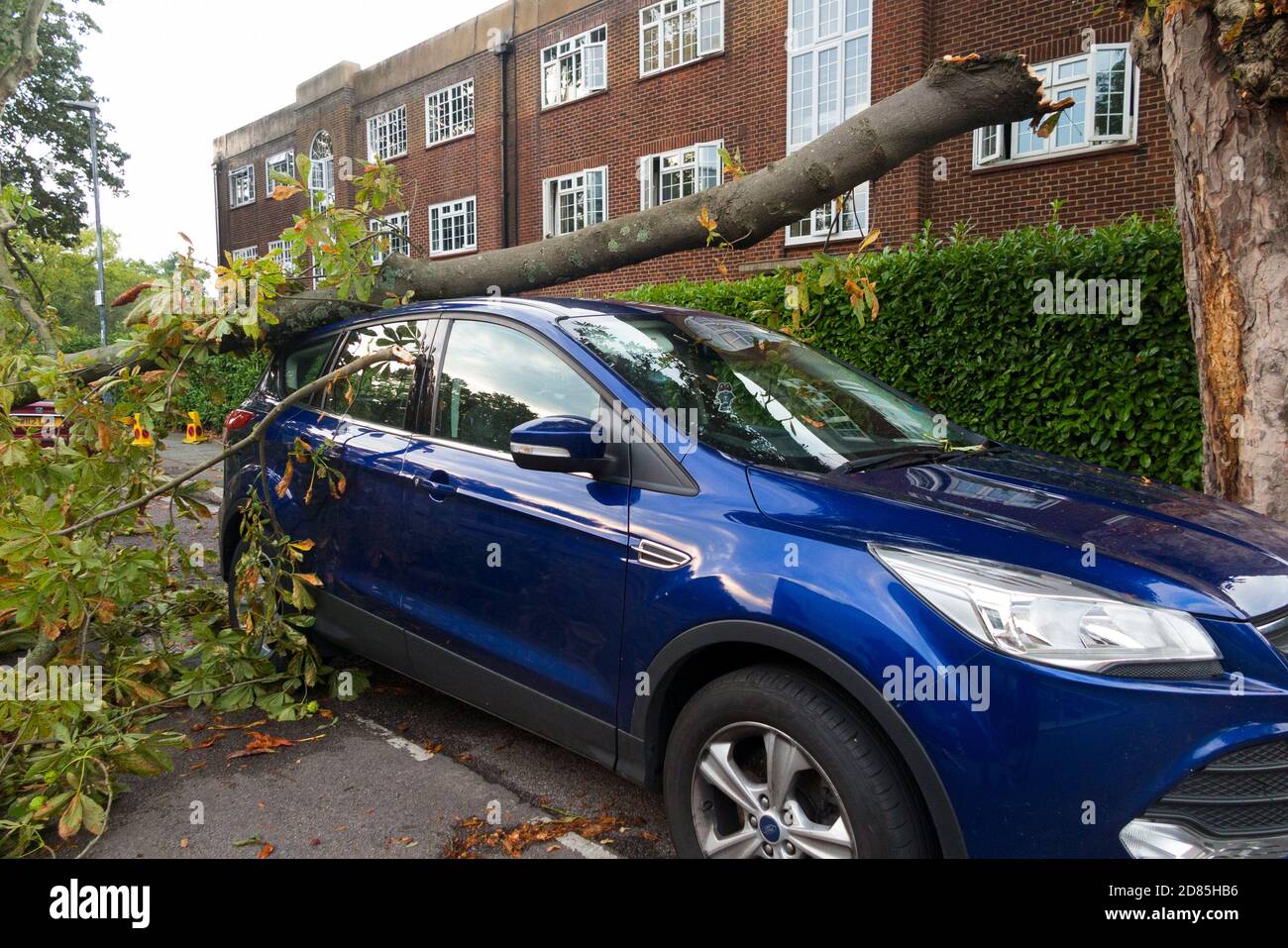 Una macchina parcheggiata è parzialmente schiacciata dal ramo caduto di un albero che è caduto sul suo tetto durante una tempesta estiva che includeva vento alto. Twickenham, Londra. UK (122) Foto Stock