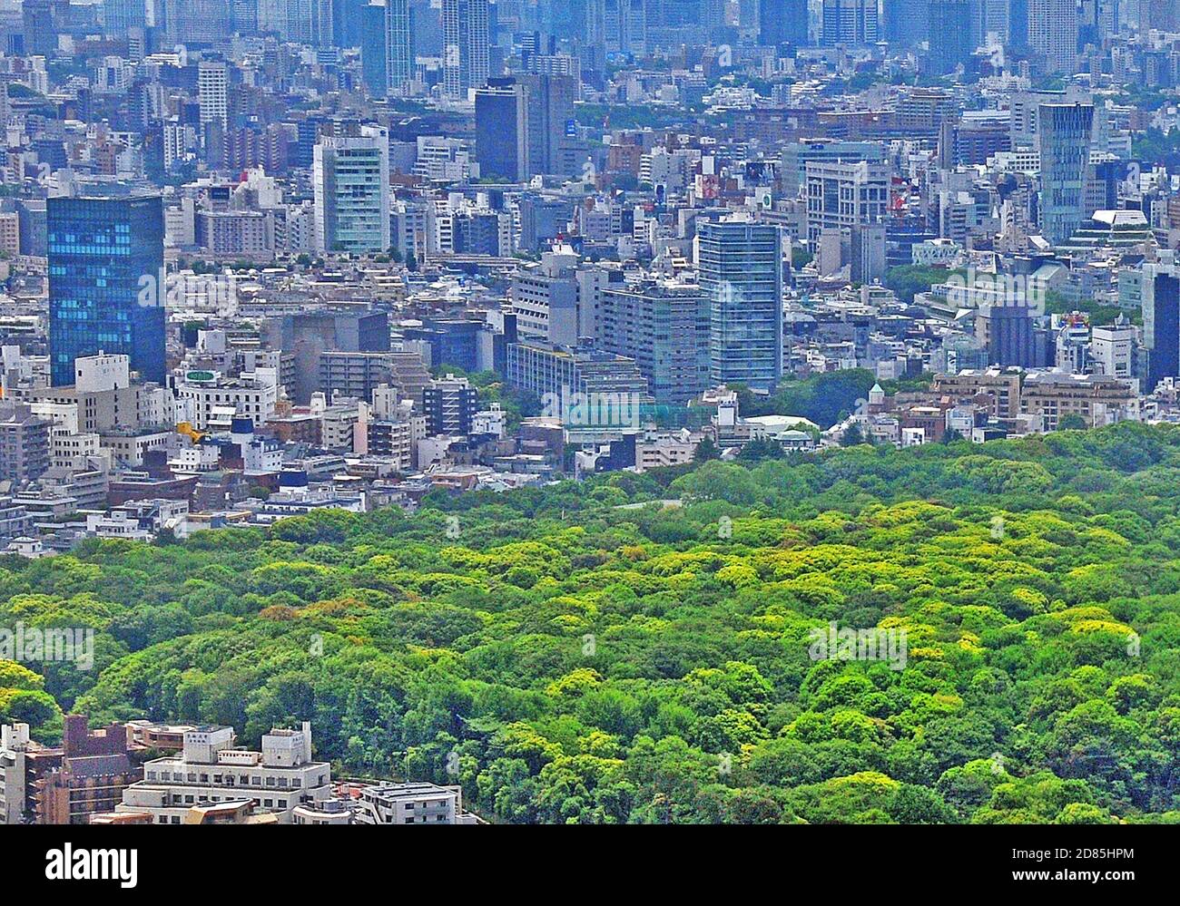 Vista aerea sul parco di Yoyogi, Shibuya, Tokyo, Giappone Foto Stock