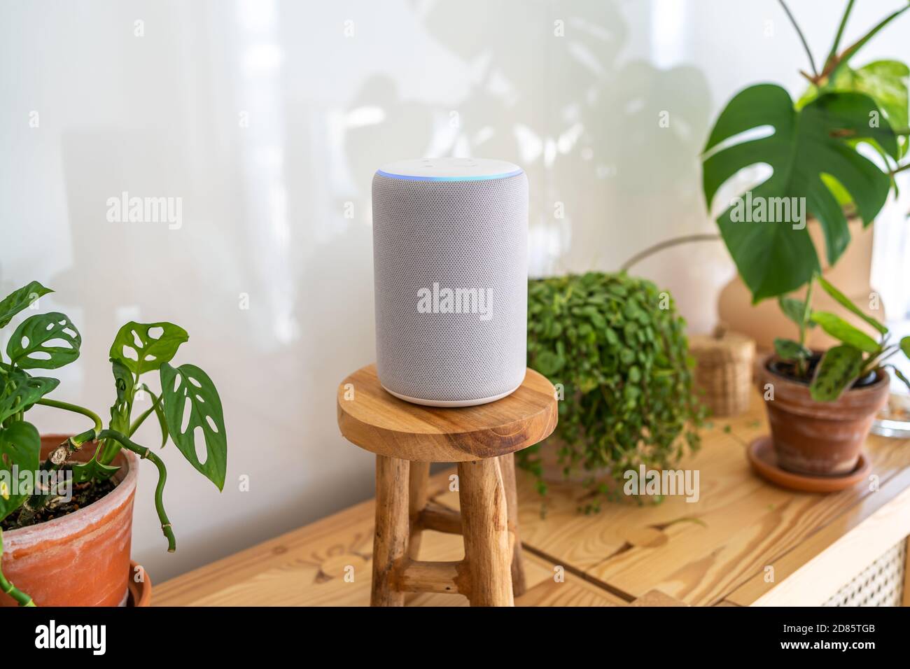 VIENNA, AUSTRIA - Ottobre 26 : Amazon Alexa Echo Plus su un armadio di legno con piante verdi sullo sfondo Foto Stock