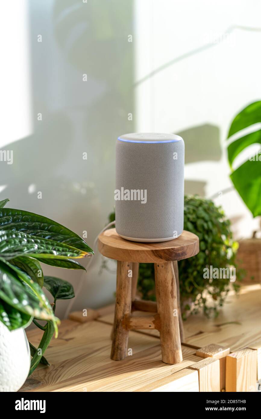 VIENNA, AUSTRIA - Ottobre 26 : Amazon Alexa Echo Plus su un armadio di legno con piante verdi sullo sfondo Foto Stock