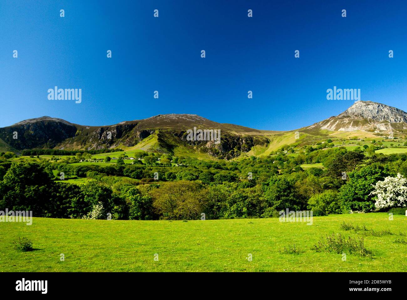 YR Eifl Montagne da Trefor, Lleyn penisola, Gwynedd, Galles del Nord. Foto Stock