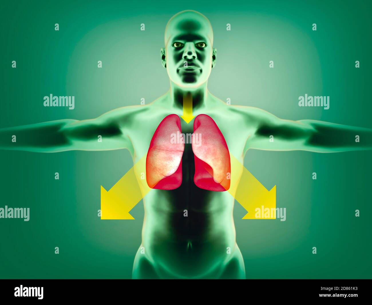 Anatomia del corpo umano, polmoni e tosse. Medicinale per disciogliere il flemma. Effetto del muco che si accumula nel tratto respiratorio. rendering 3d Foto Stock