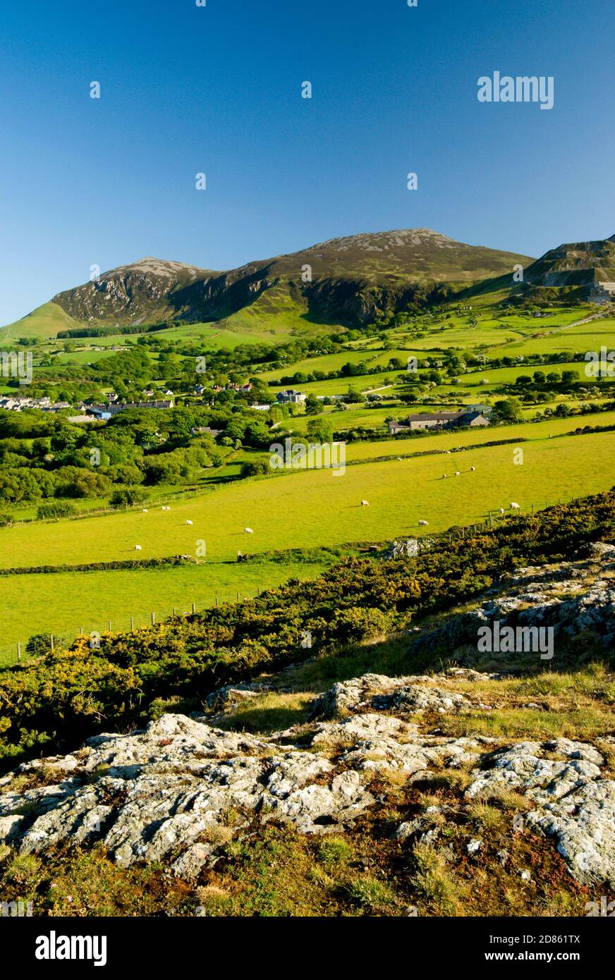 YR Eifl Montagne da Trefor, Lleyn penisola, Gwynedd, Galles del Nord. Foto Stock