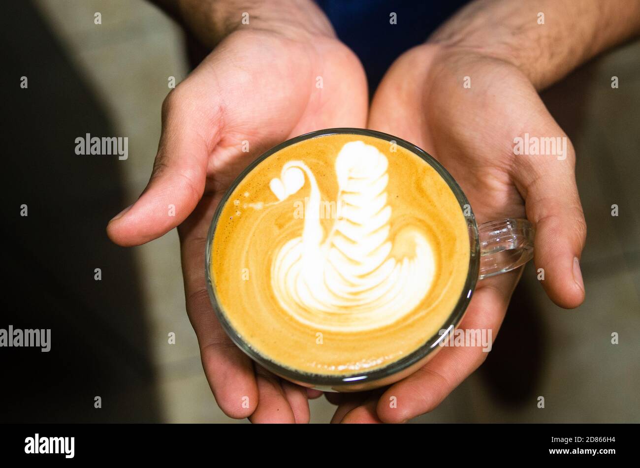 Le mani del barista mostrano arte del caffè, figura del cigno, arte del latte Foto Stock