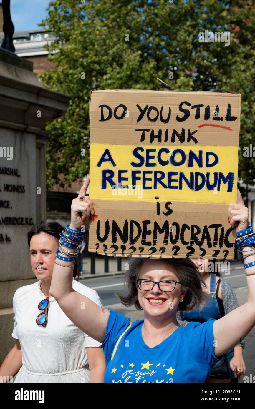 Londra, Regno Unito, 31 agosto 2019:- manifestanti a Whitehall, Londra, che protestano contro il piano del primo ministro Boris Johnson di sospendere il Parlamento per la fi Foto Stock