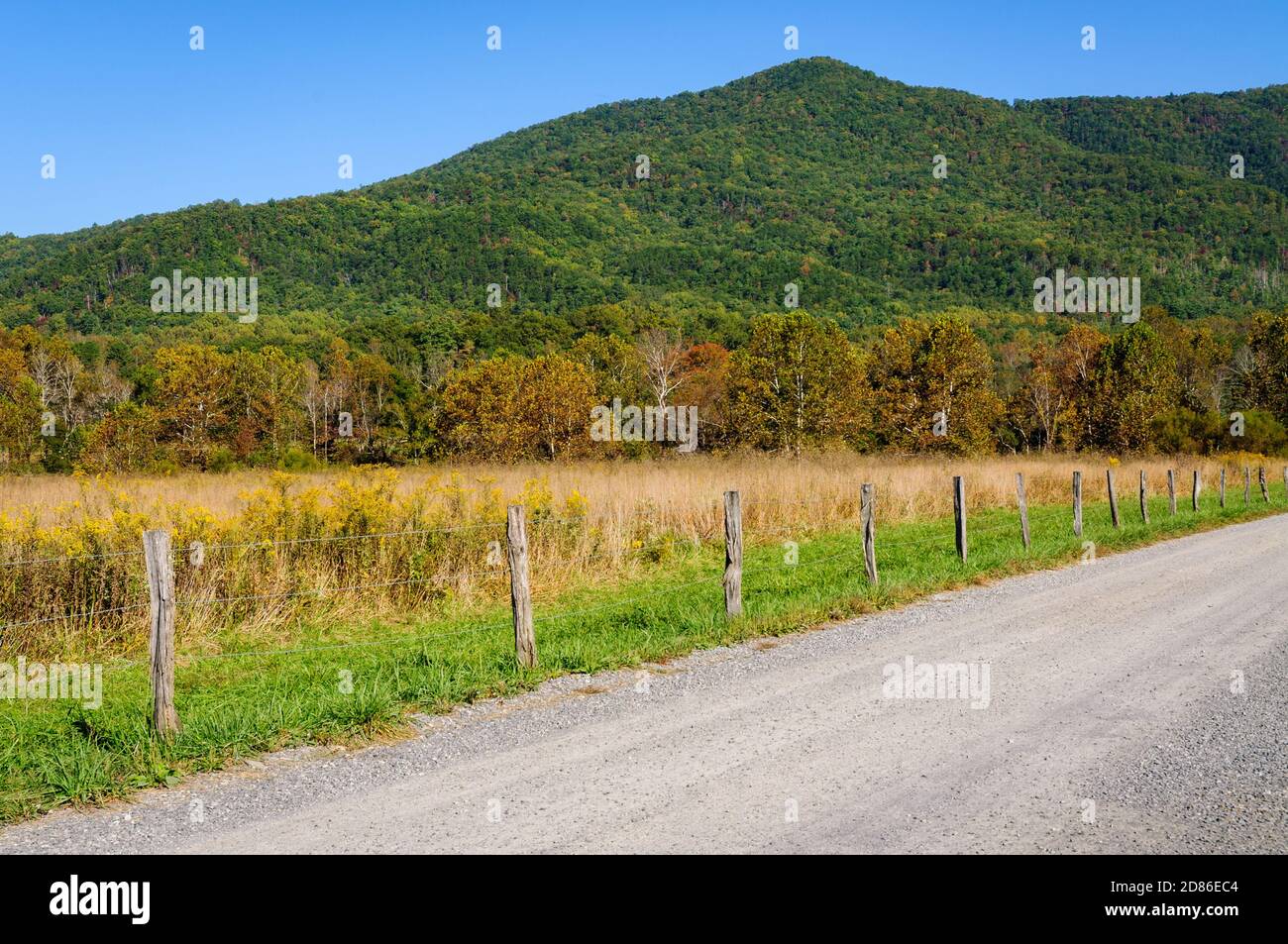 Parco Nazionale di Great Smoky Mountains Foto Stock