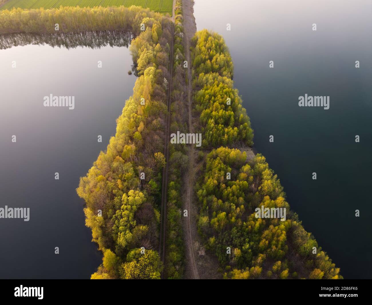 Vista aerea del drone di due laghi, popolare per la pesca e belle acque calme al tramonto. Lussureggiante foresta verde in primavera. Foto Stock