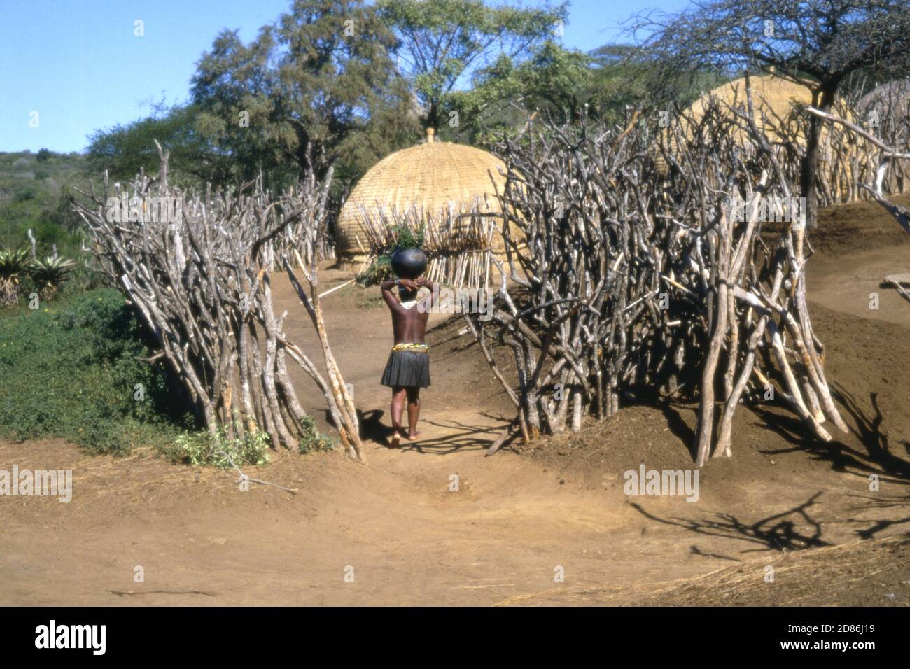 Zulu Maiden che trasporta l'acqua attraverso il gap nella recinzione, Zulululand, Natal, Sudafrica 1981 Foto Stock