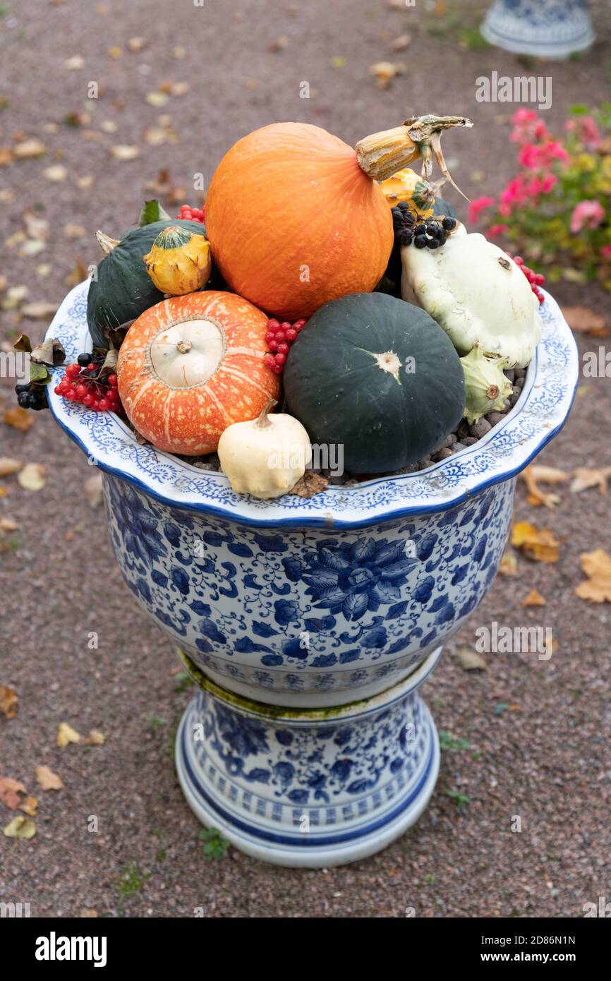 Decorare il vaso con la raccolta nel palazzo Peterhof e giardini. Petergof, San Pietroburgo, Russia. Foto Stock