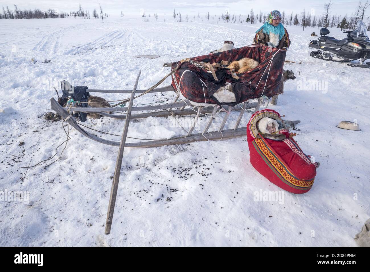 Una piccola ragazza Nenet all'interno di una culla tradizionale nella neve, pronta ad essere caricata su una slitta durante una migrazione, Yamalo-Nenets Autonomous Okrug, Russia Foto Stock