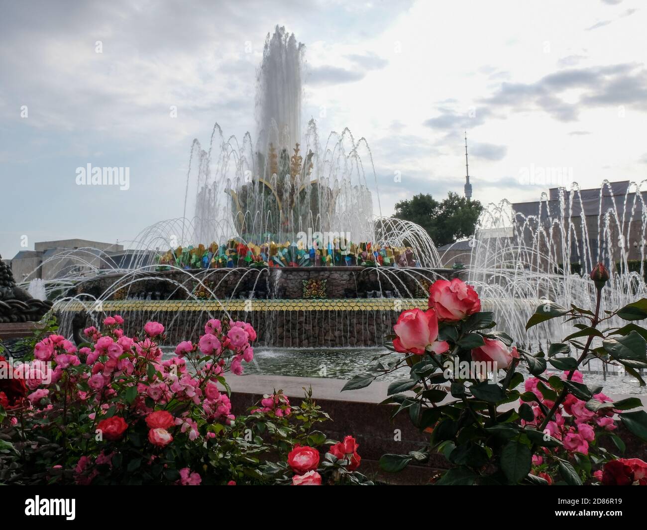 Fountain Stone Flower al Centro Espositivo All-Russian Centro Espositivo All-Russian, ex Mostra dei risultati dell'Economia Nazionale in MOS Foto Stock