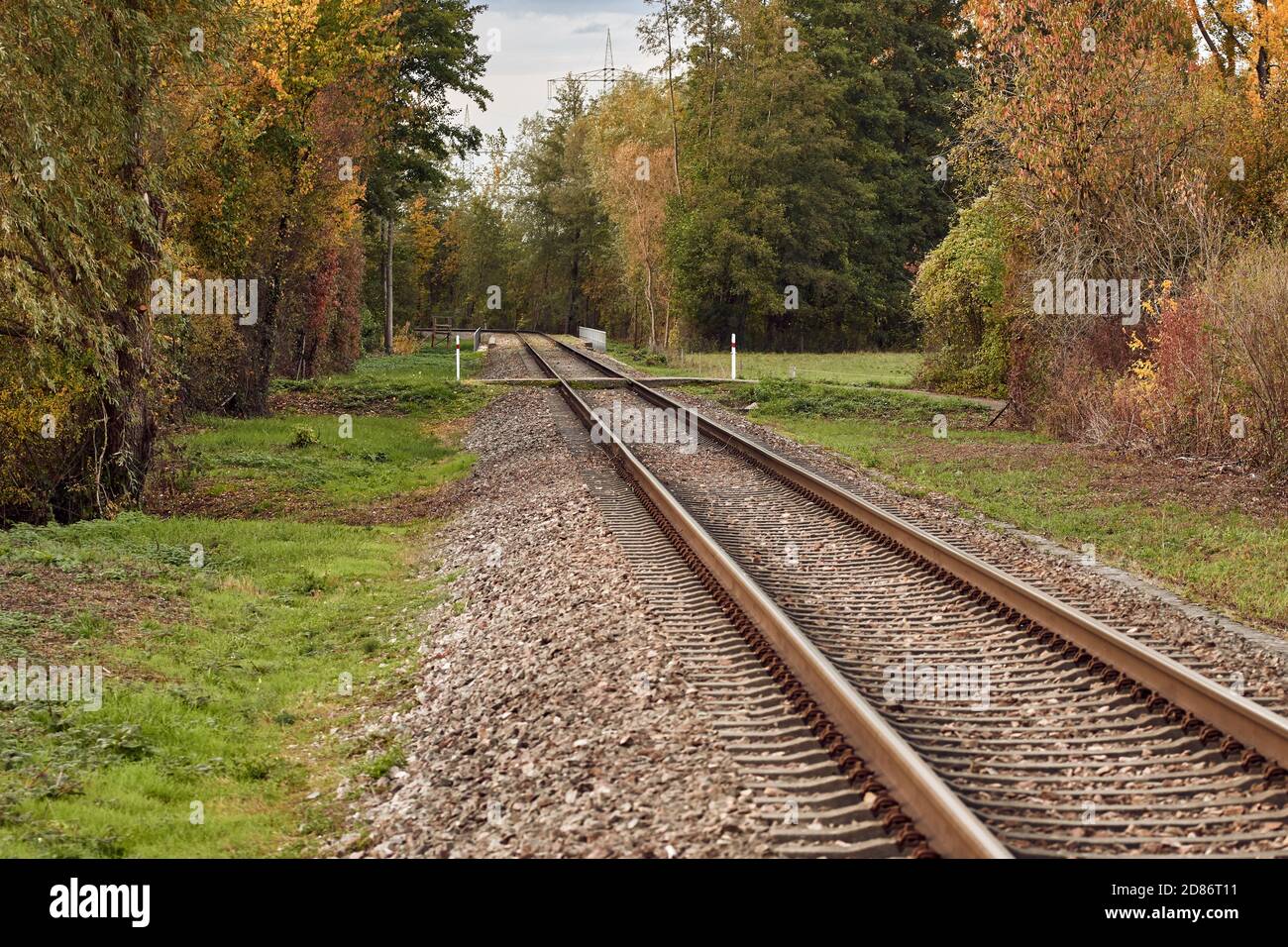 Percorso ferroviario nel paesaggio autunnale circondato da una foresta Foto Stock