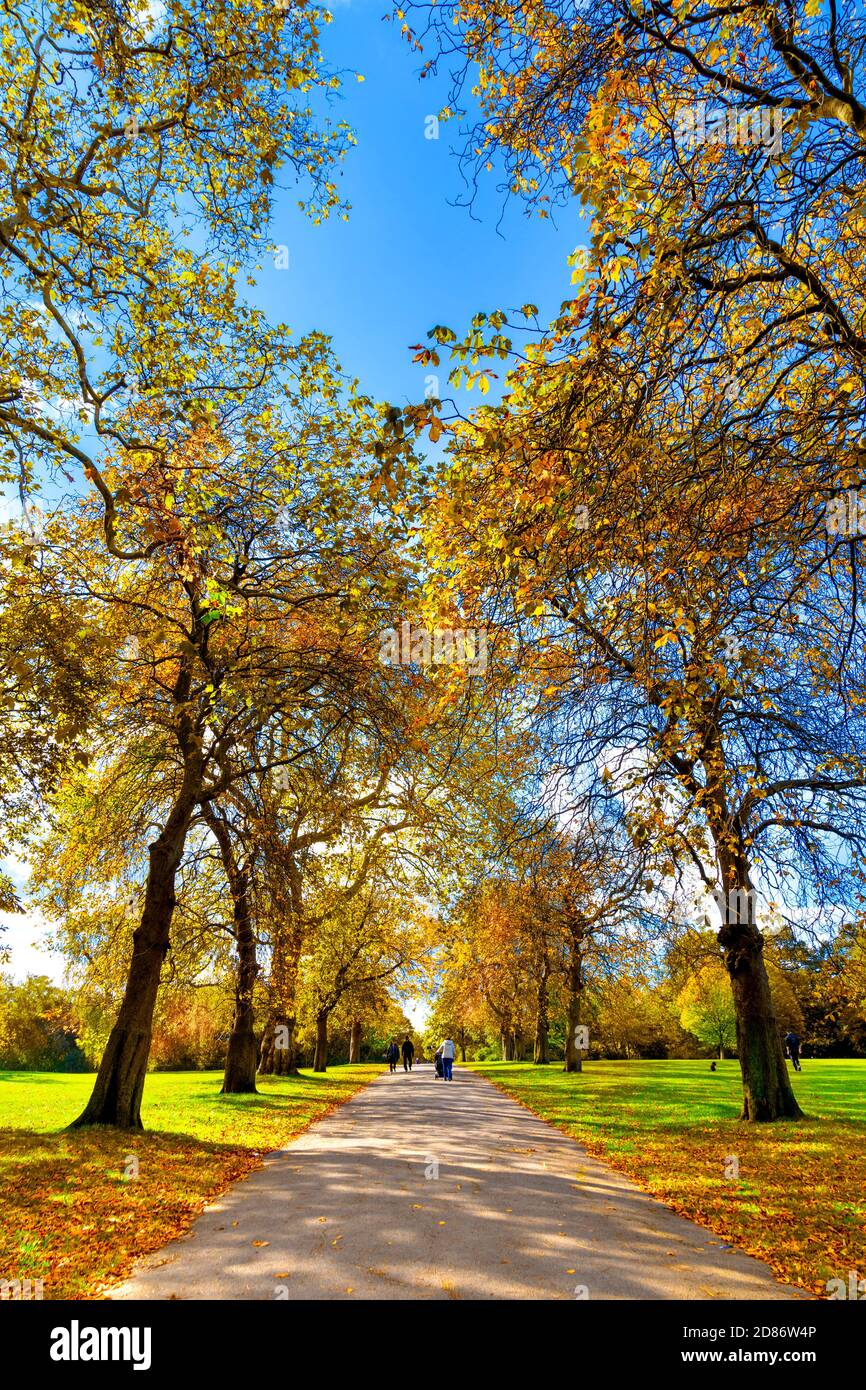 Regent's Park in autunno, London, Regno Unito Foto Stock