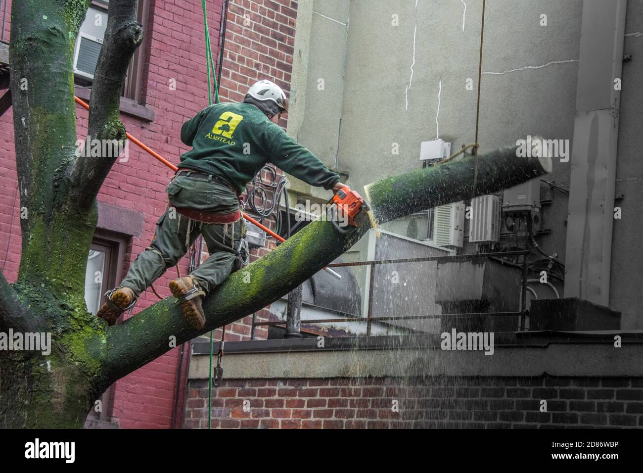 Trimmer per alberi che lavora per la rimozione degli alberi nel giardino del cortile di un edificio del Greenwich Village a New York City, NY, USA Foto Stock