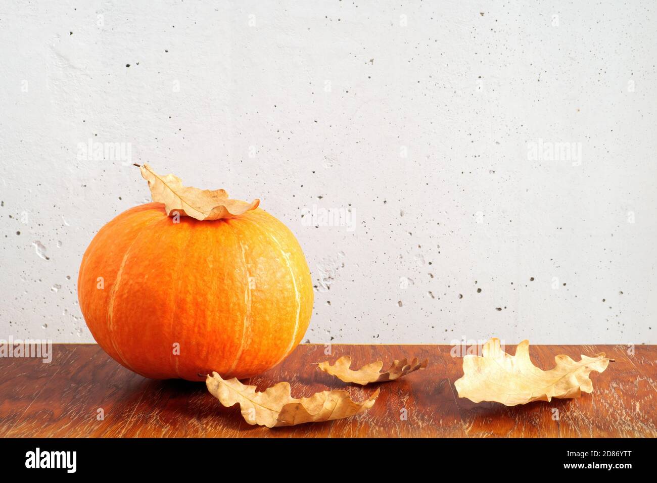 Zucca arancione e foglie di quercia secca su tavola di legno marrone su fondo grigio parete di cemento. Spazio di copia Foto Stock