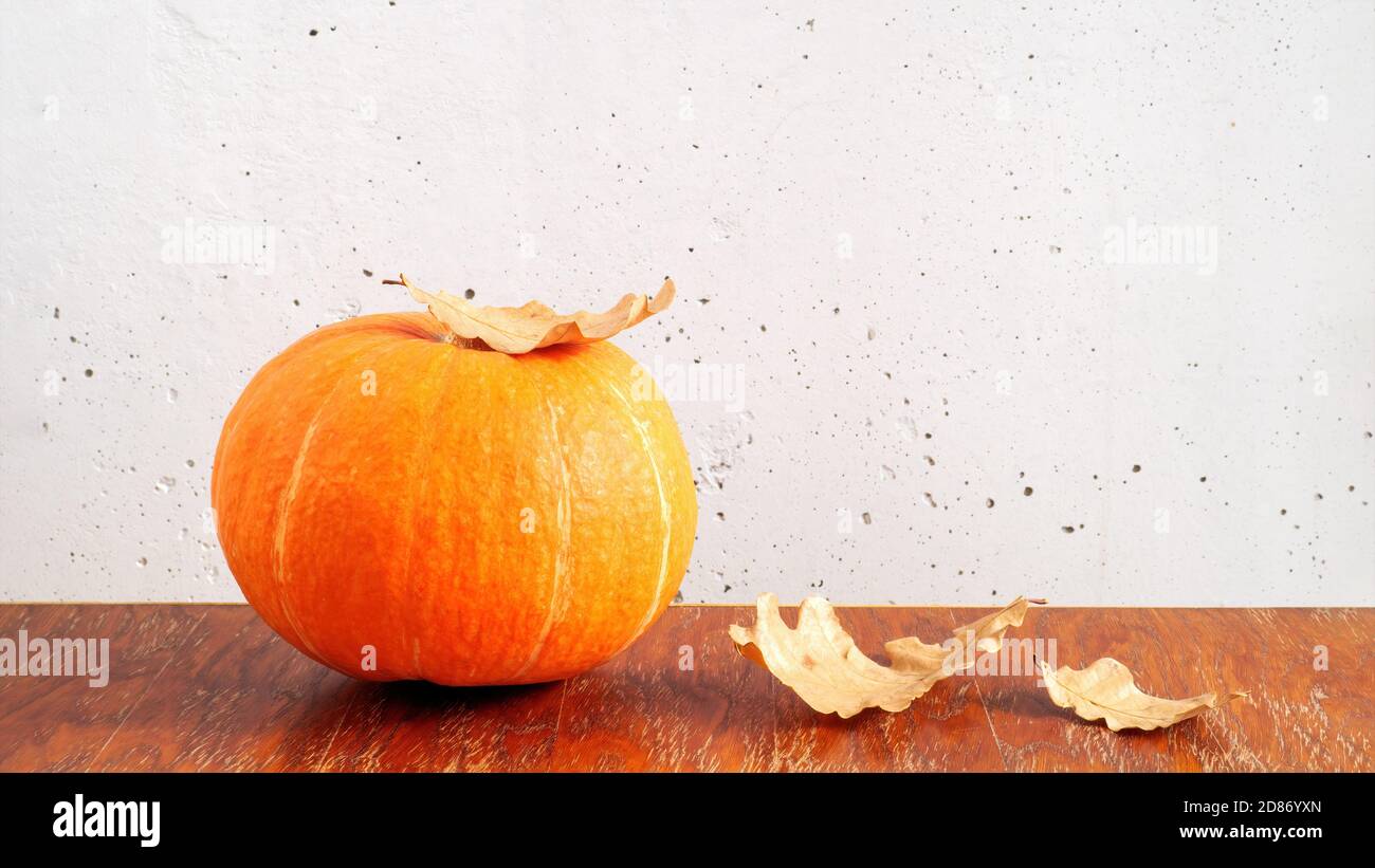 Zucca arancione e foglie di quercia secca su tavola di legno marrone su fondo grigio parete di cemento. Copia spazio, composizione autunnale Foto Stock