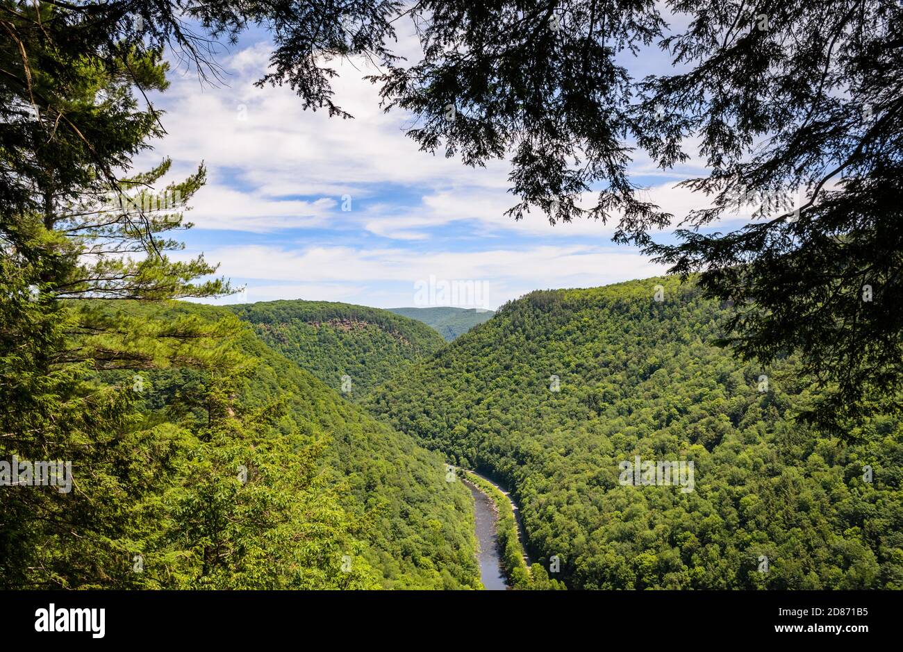 Pine Creek Gorge Foto Stock