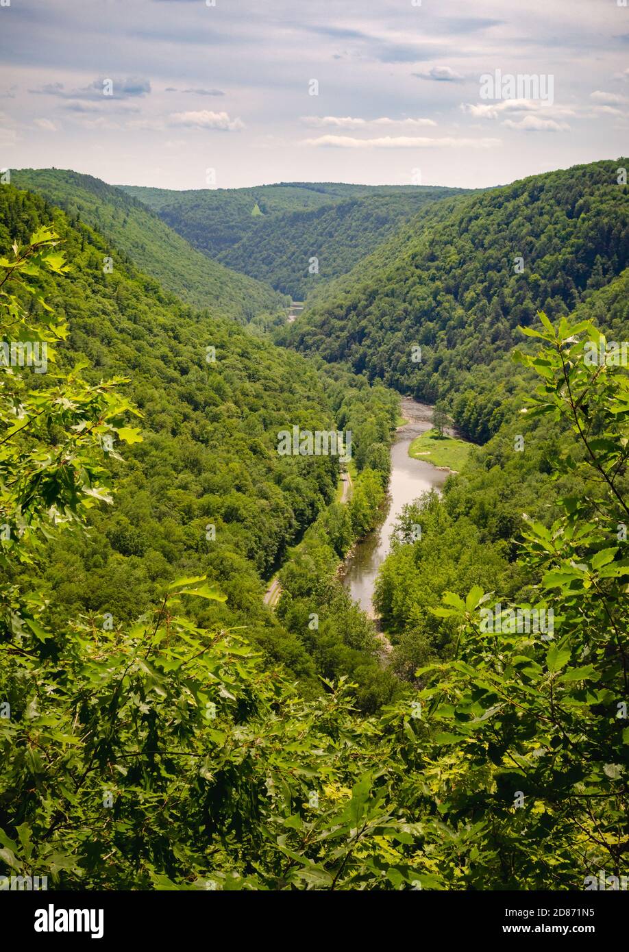 Pine Creek Gorge Foto Stock