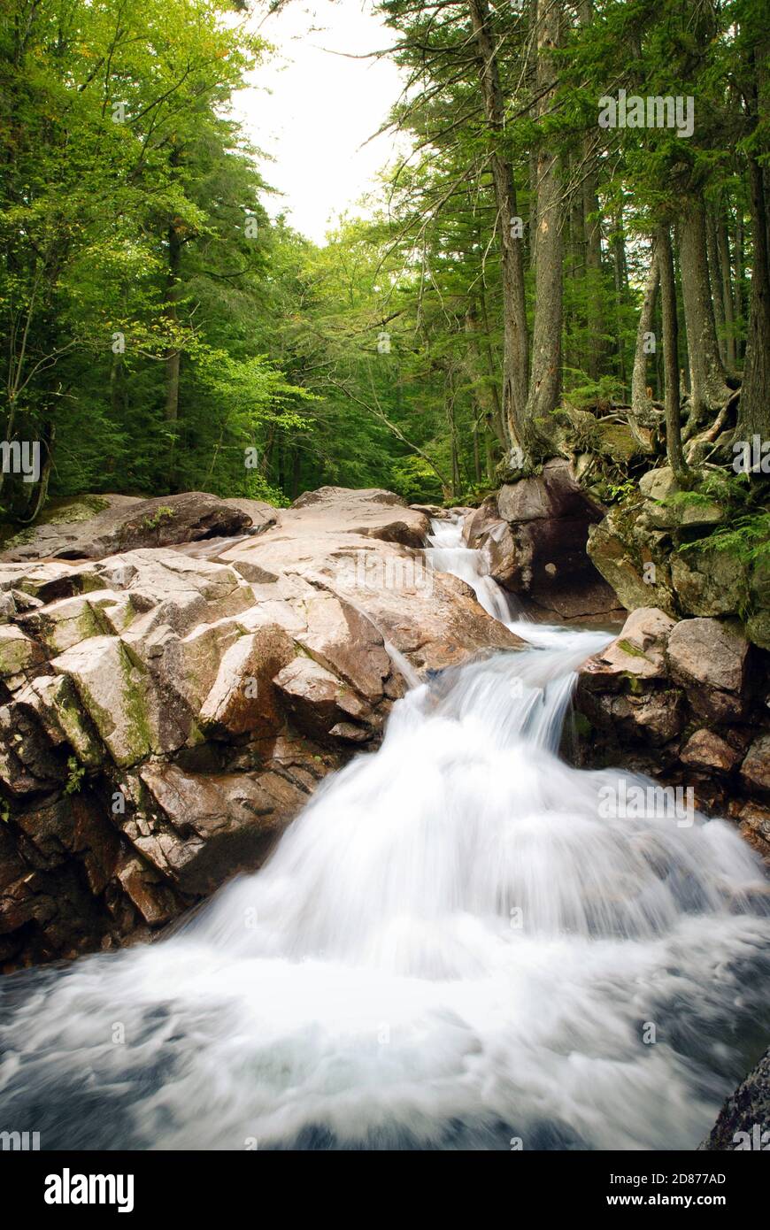 Acqua che cade su rocce in un torrente di montagna nel New Hampshire, Stati Uniti. La velocità dell'otturatore ridotta consente di sfocare il movimento dell'acqua Foto Stock