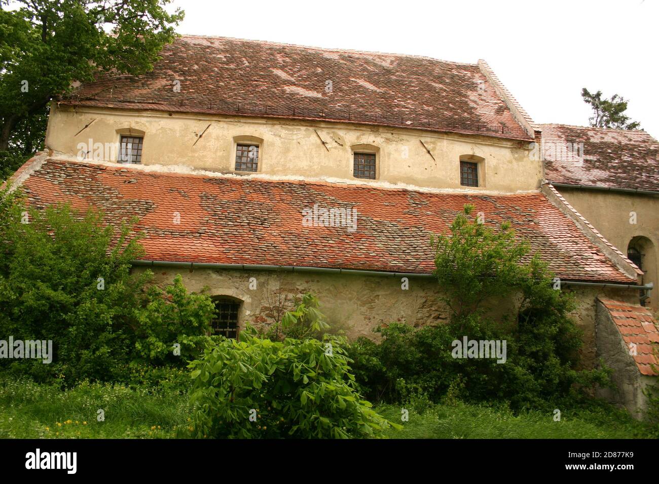 Rosia, Contea di Sibiu, Romania. La chiesa evangelica fortificata del 13 ° secolo, monumento storico. Foto Stock