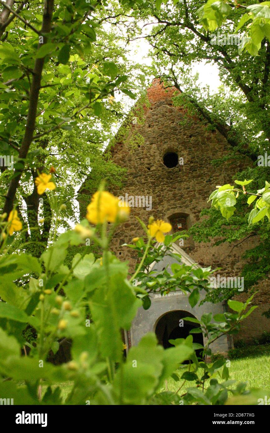 Rosia, Contea di Sibiu, Romania. La chiesa evangelica fortificata del 13 ° secolo, monumento storico. Foto Stock