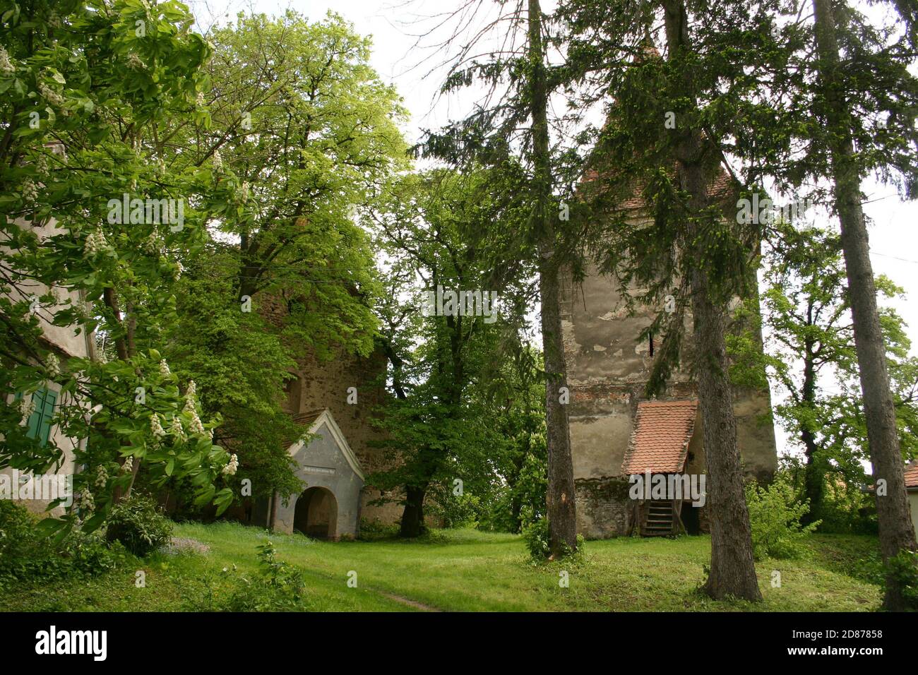 Rosia, Contea di Sibiu, Romania. La chiesa evangelica fortificata del 13 ° secolo, monumento storico. Foto Stock