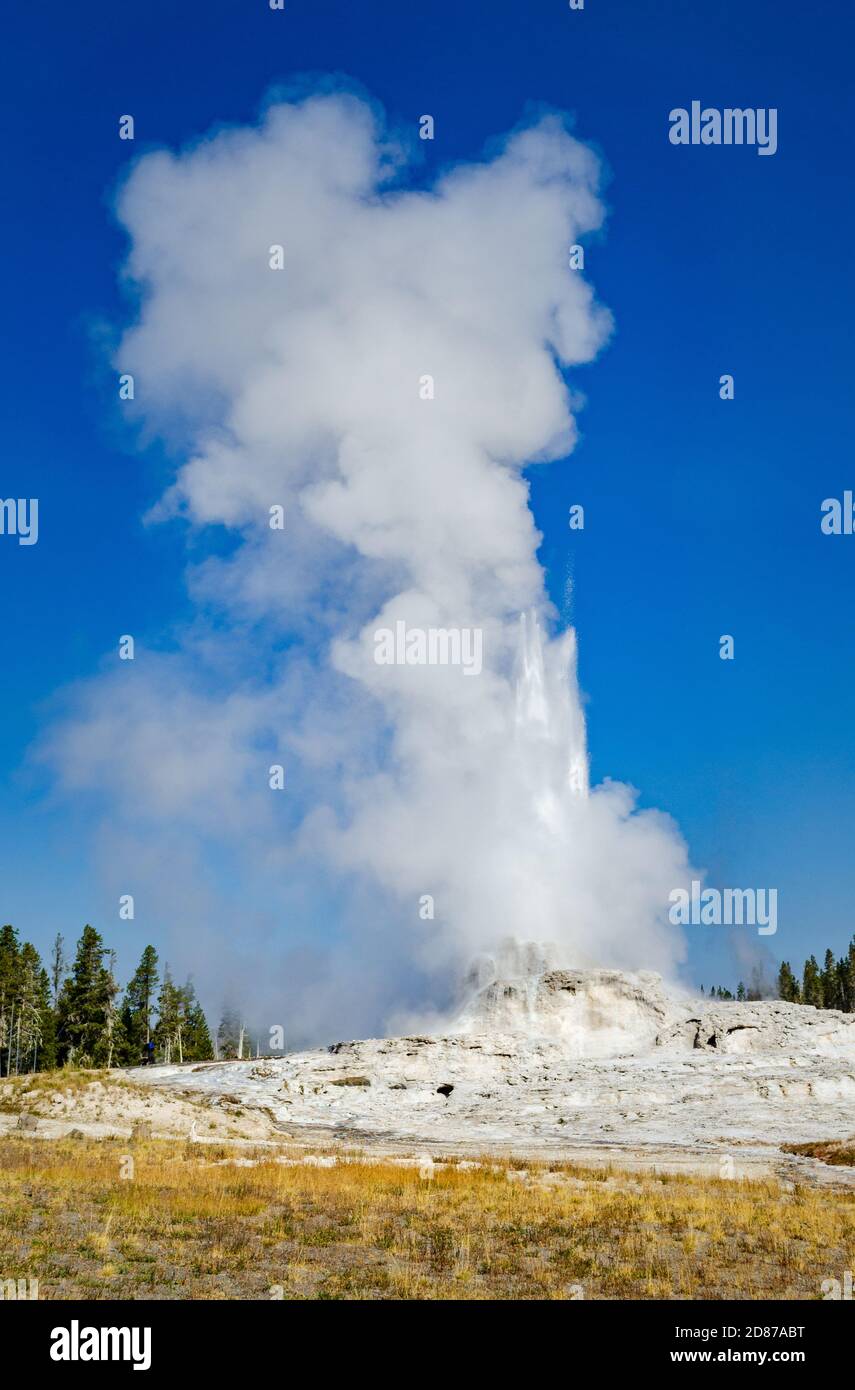 Parco Nazionale di Yellowstone Foto Stock