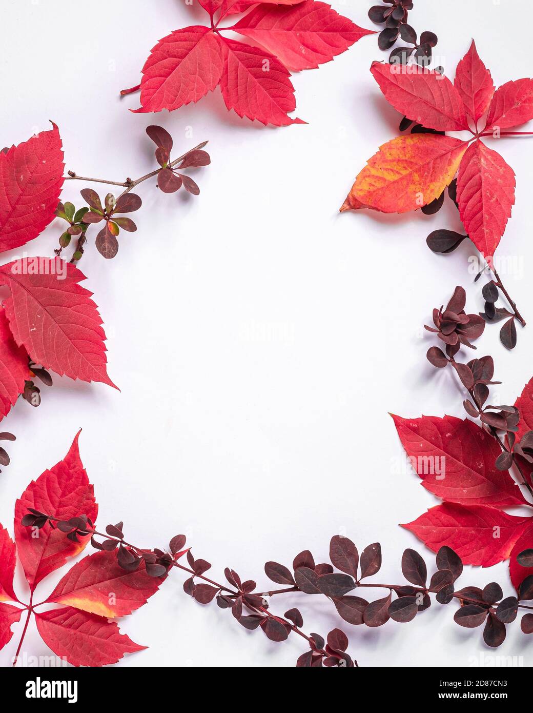 Cornice di foglie autunnali rosse e arancioni su sfondo bianco, spazio di copia piatto Foto Stock