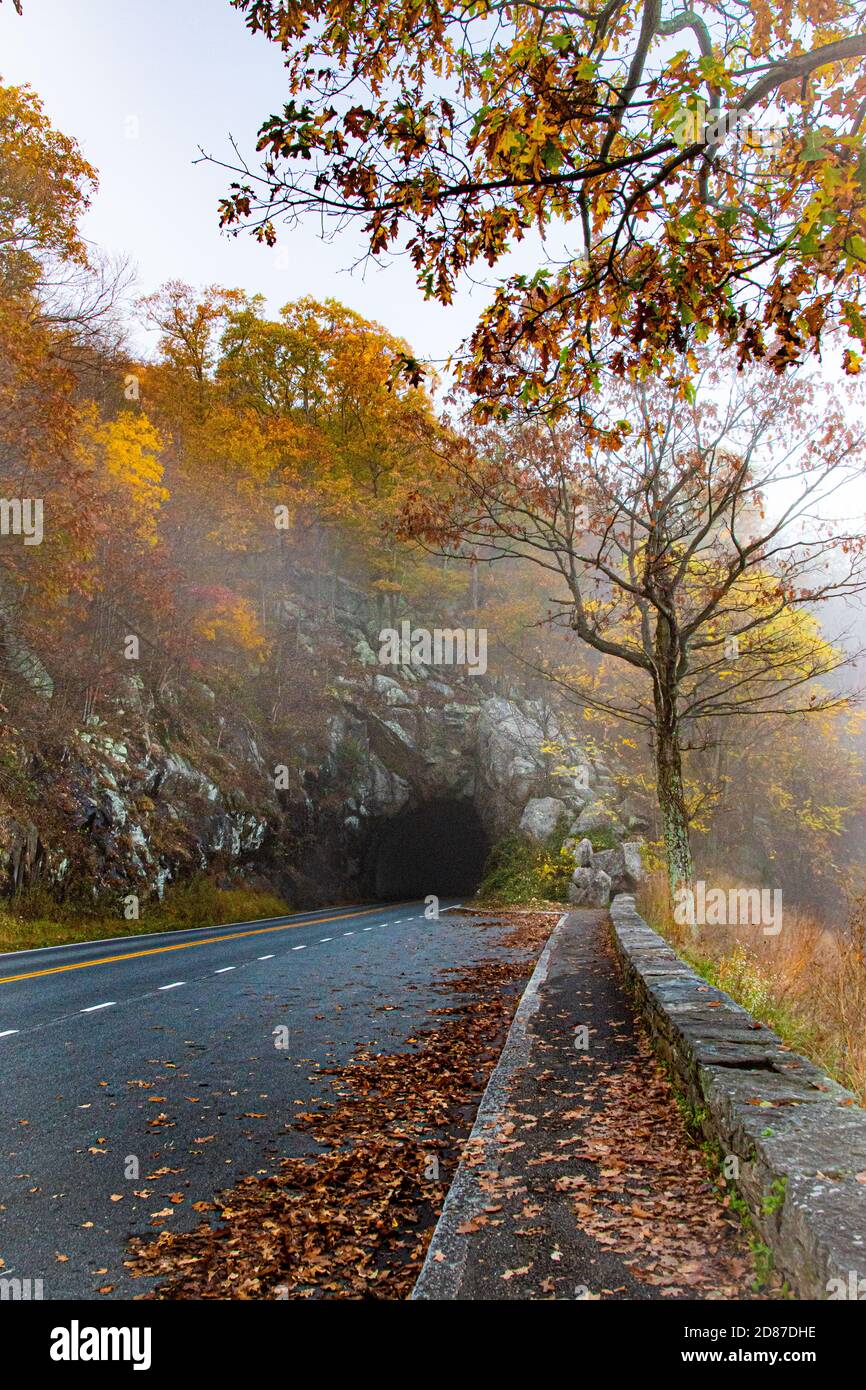 Una strada di montagna crinale blu in autunno su mattina nebbia con foglie colorate Foto Stock