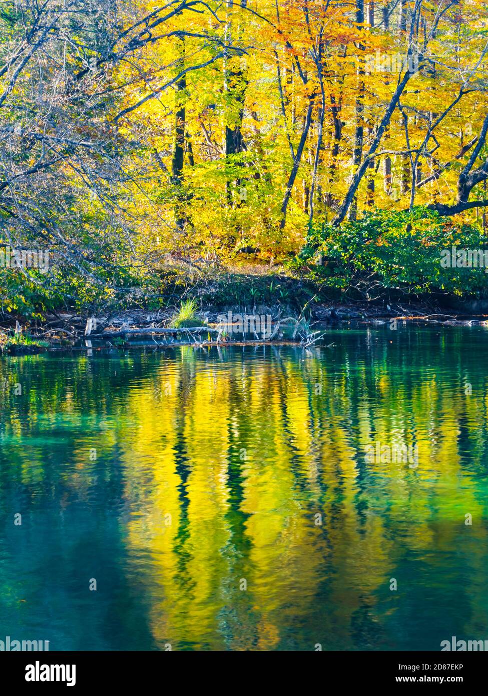 Lago di riflessione costa Autumnal scenario in Plitvice laghi parco nazionale Situato in Croazia Europa natura silenzio naturale Foto Stock