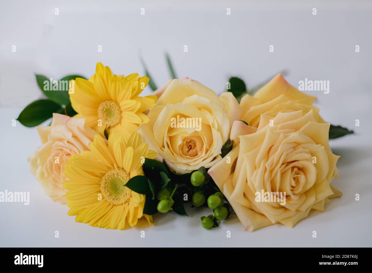 bel bouquet di fiori con sfondo bianco Foto Stock