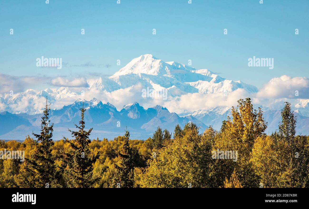 Vista panoramica della vetta di Denali in estate in Alaska da lontano Foto Stock